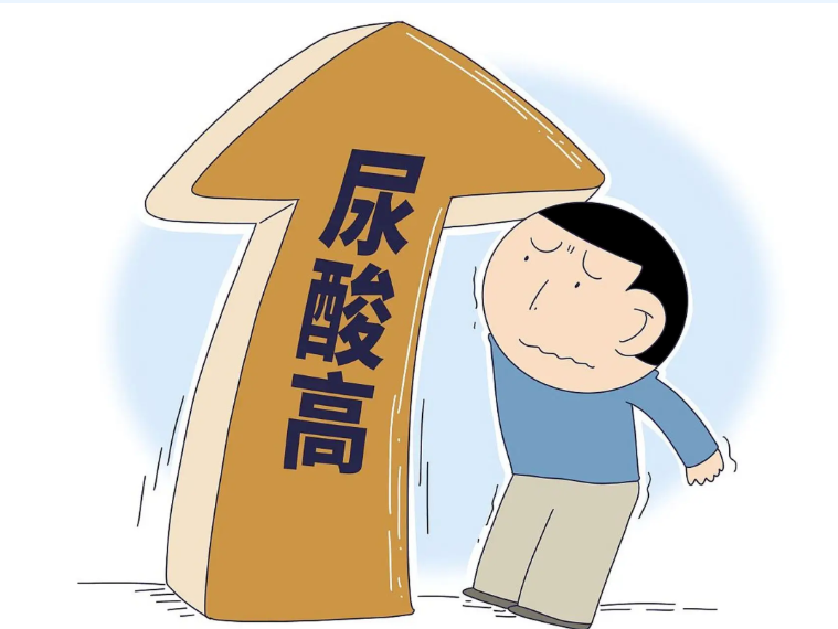 【科普】尿酸：不只是痛风的信号灯