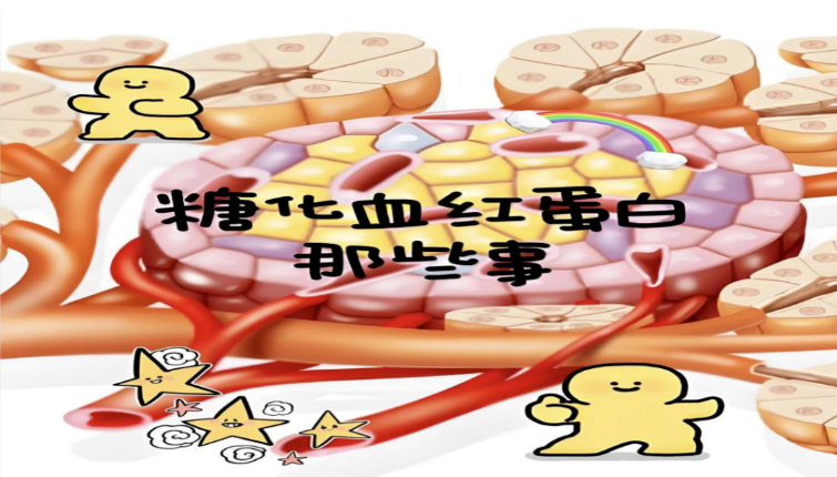 【科普】糖化血红蛋白：血糖监测的“时间记录仪”