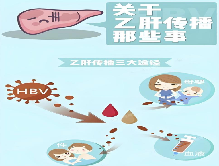 【科普】乙肝传染不小觑--保护肝脏需谨记